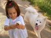 Научите ребенка, как защититься при нападении собаки!