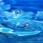 Вода – величайшее чудо на земле