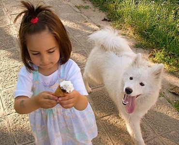 Научите ребенка, как защититься при нападении собаки!
