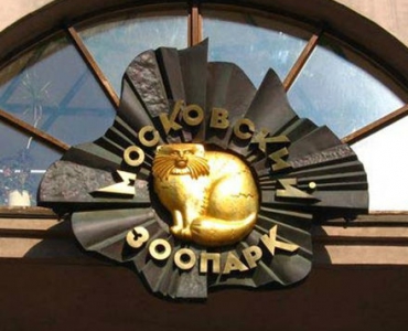 С 29 мая по 1 июня 2013 года Московский зоопарк проводит XIII Фестиваль 